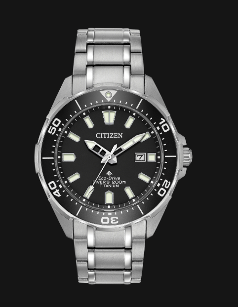 BN020-56E PROMASTER TITANIUM DIVE WATCH WR 200M ECHO-DIVE