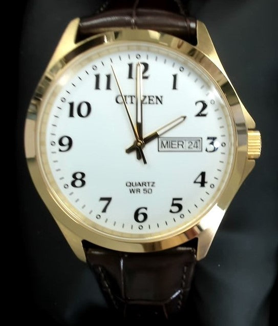 Citizen Watch Men