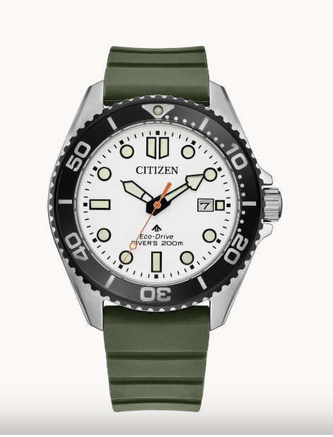 bn0265-00a Citizen Promaster Dive Watch Eco-Drive