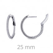 Silver Earring