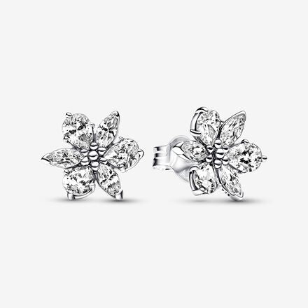 Pandora Stories Collection