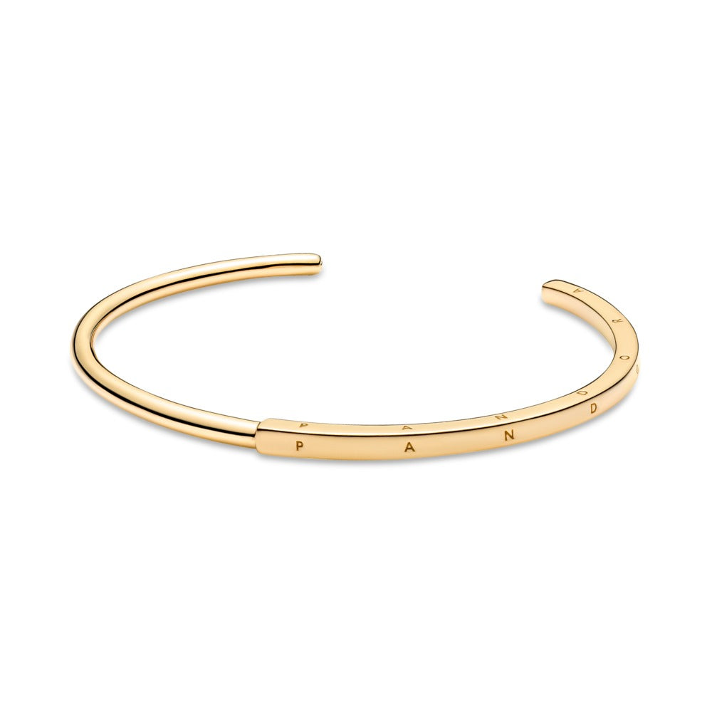 Pandora Bracelet