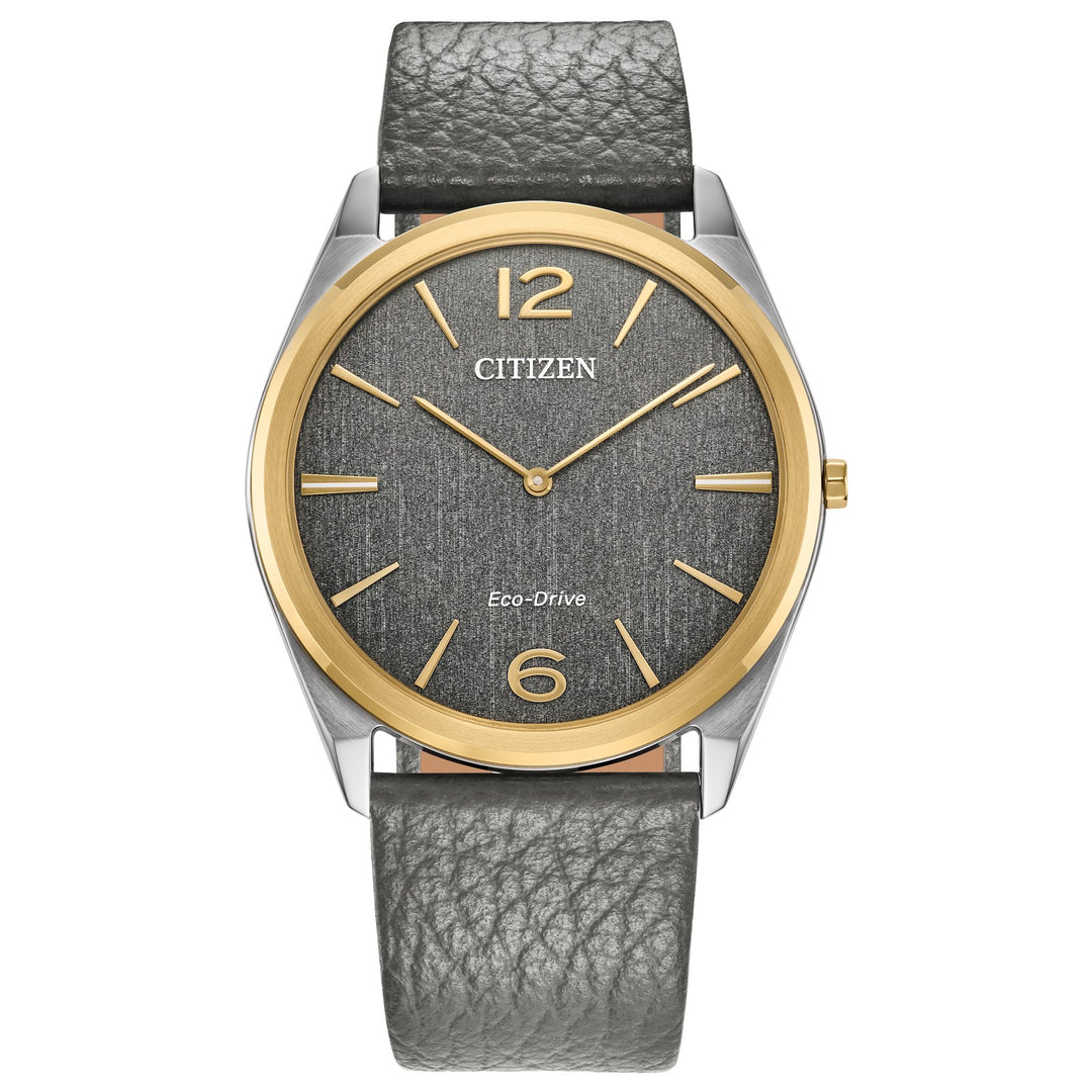 Citizen Watch Men