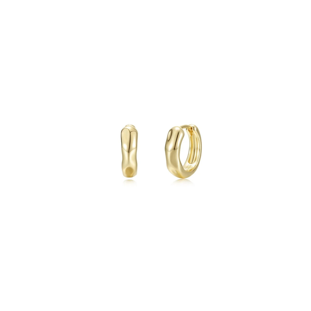 Silver Earring
