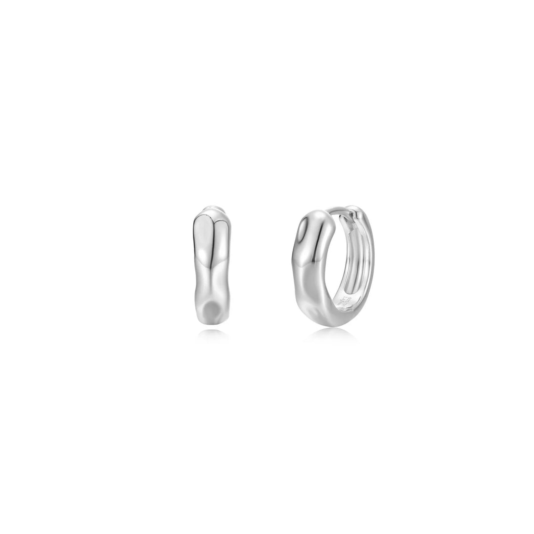 Silver Earring