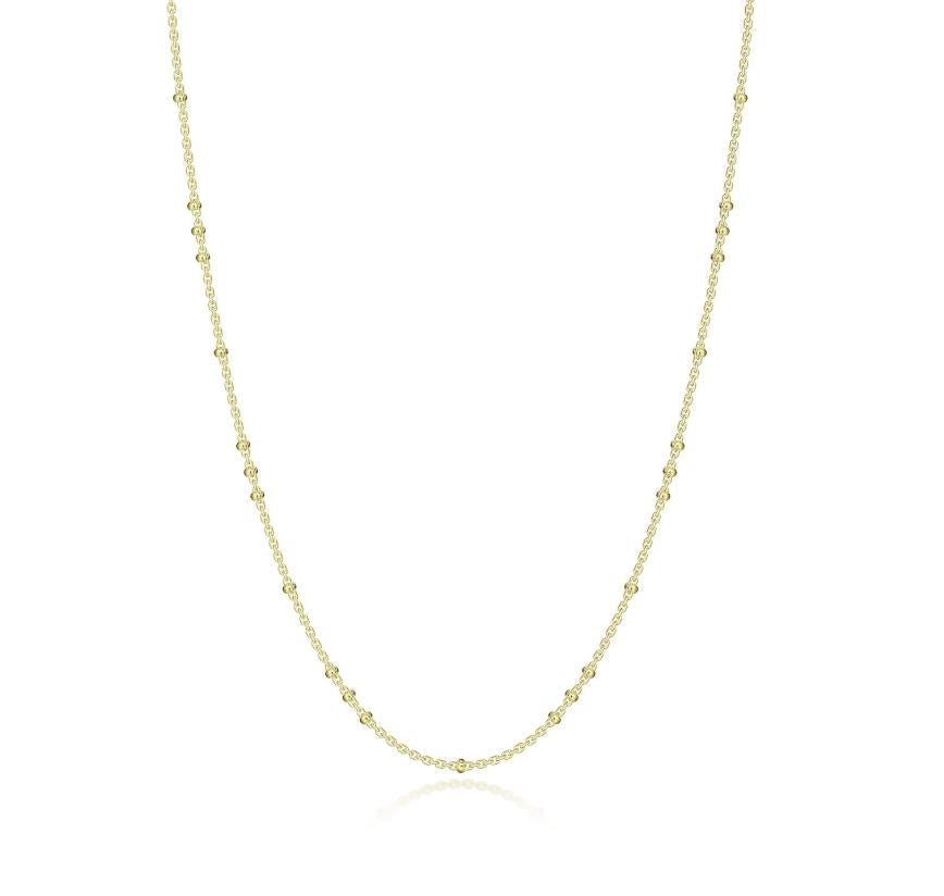 Silver Chain