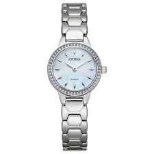 Citizen Watch Men